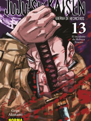 JUJUTSU KAISEN 13